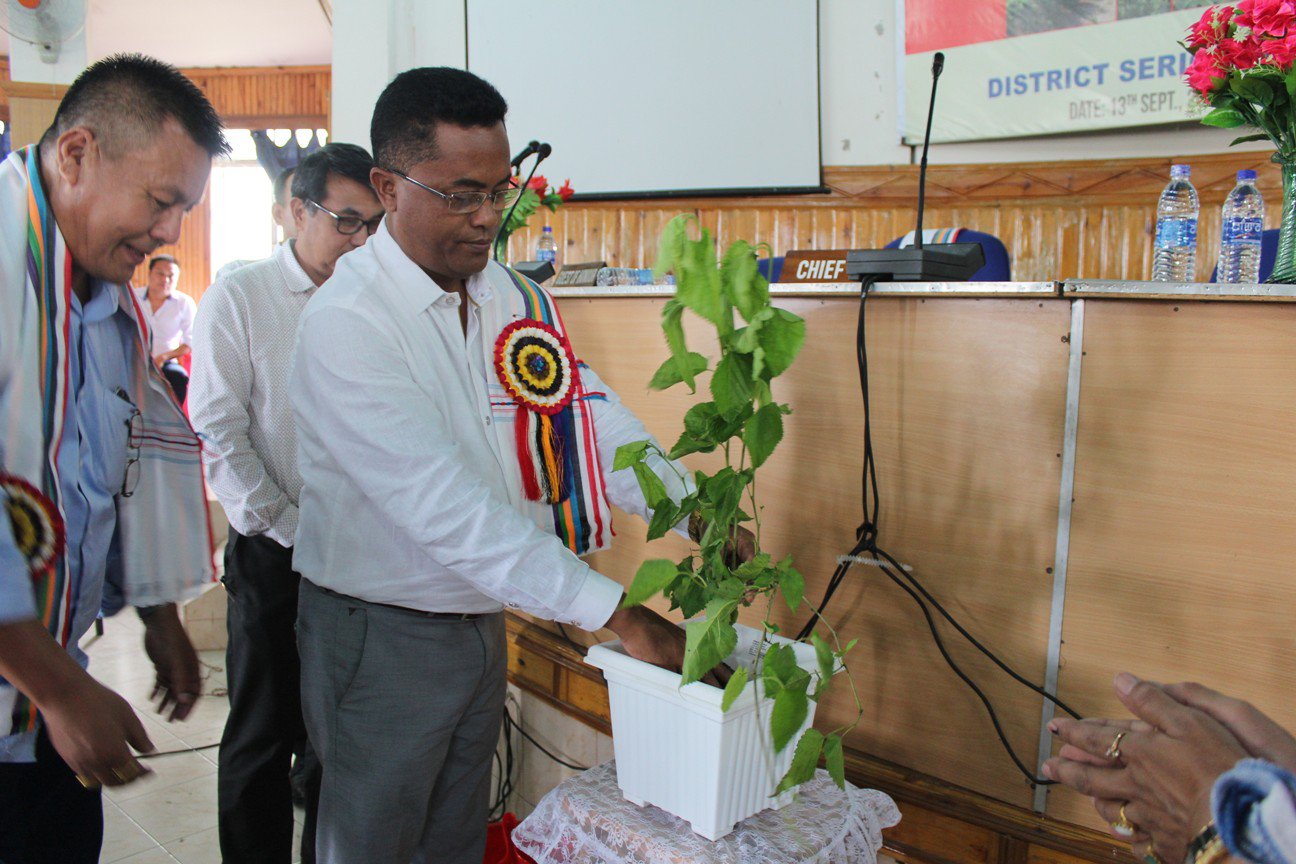 "sericulture image"